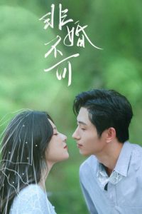 Nhất Định Phải Cưới