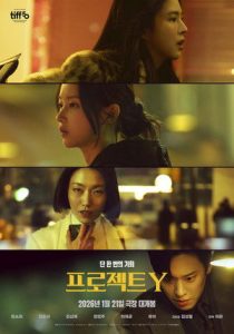 Project Y – Dự Án Y